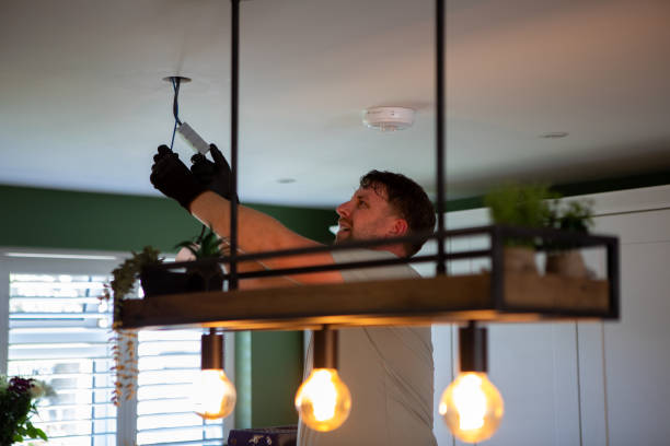 Best Electric Panel Repair  in Sauk Rapids, MN